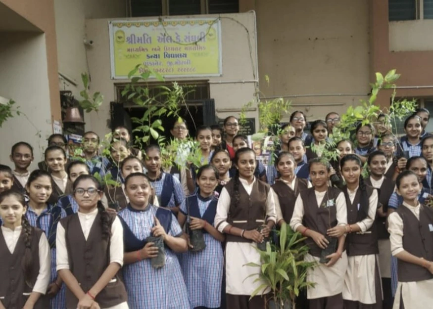 Tree Plantation Drive